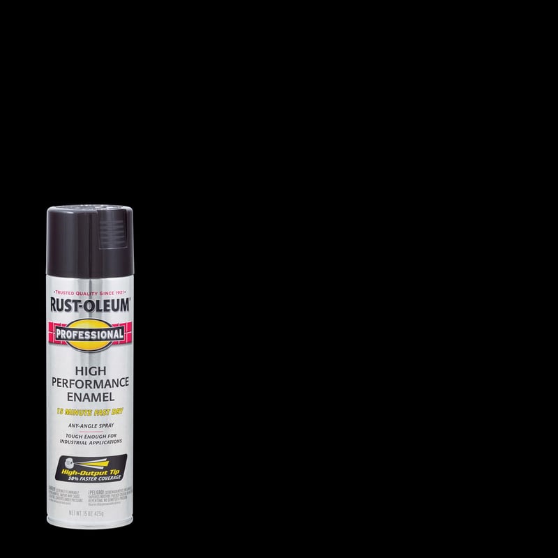 SPRYPAINT PRO GL BLK15OZ