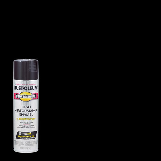 SPRYPAINT PRO GL BLK15OZ