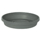 Bloem Terra 1 in. H X 5.5 in. W X 4.75 in. D Plastic Traditional Plant Saucer Basil