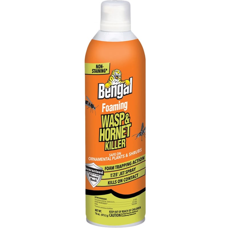 Bengal Foaming Insect Killer Foam 16 oz
