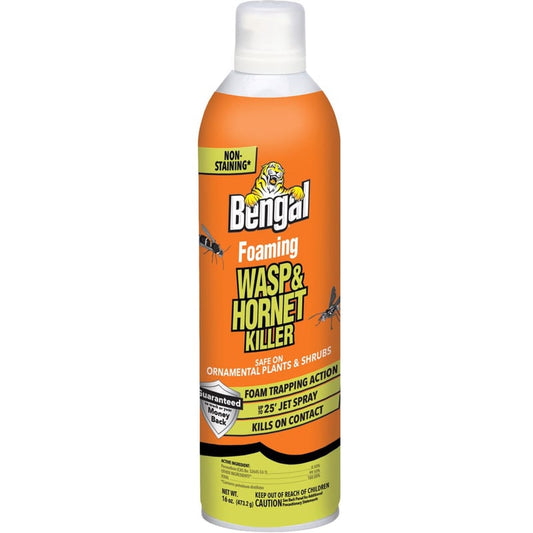 Bengal Foaming Insect Killer Foam 16 oz