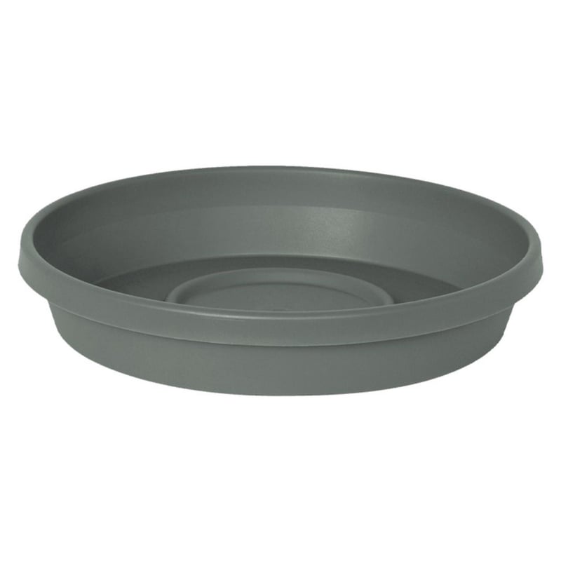 Bloem Terra 1.5 in. H X 7.5 in. W X 6.5 in. D Plastic Traditional Plant Saucer Basil