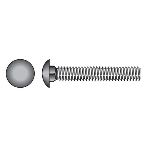 HILLMAN 5/16 in. X 3-1/2 in. L Stainless Steel Carriage Bolt 25 pk