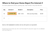 Example showing where to find a Home Depot Pro Internet number (example number, not a real document)