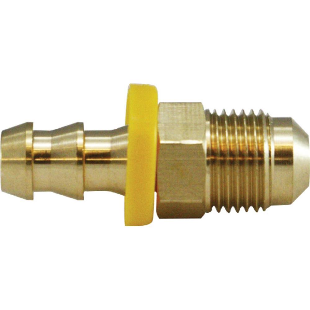 30243