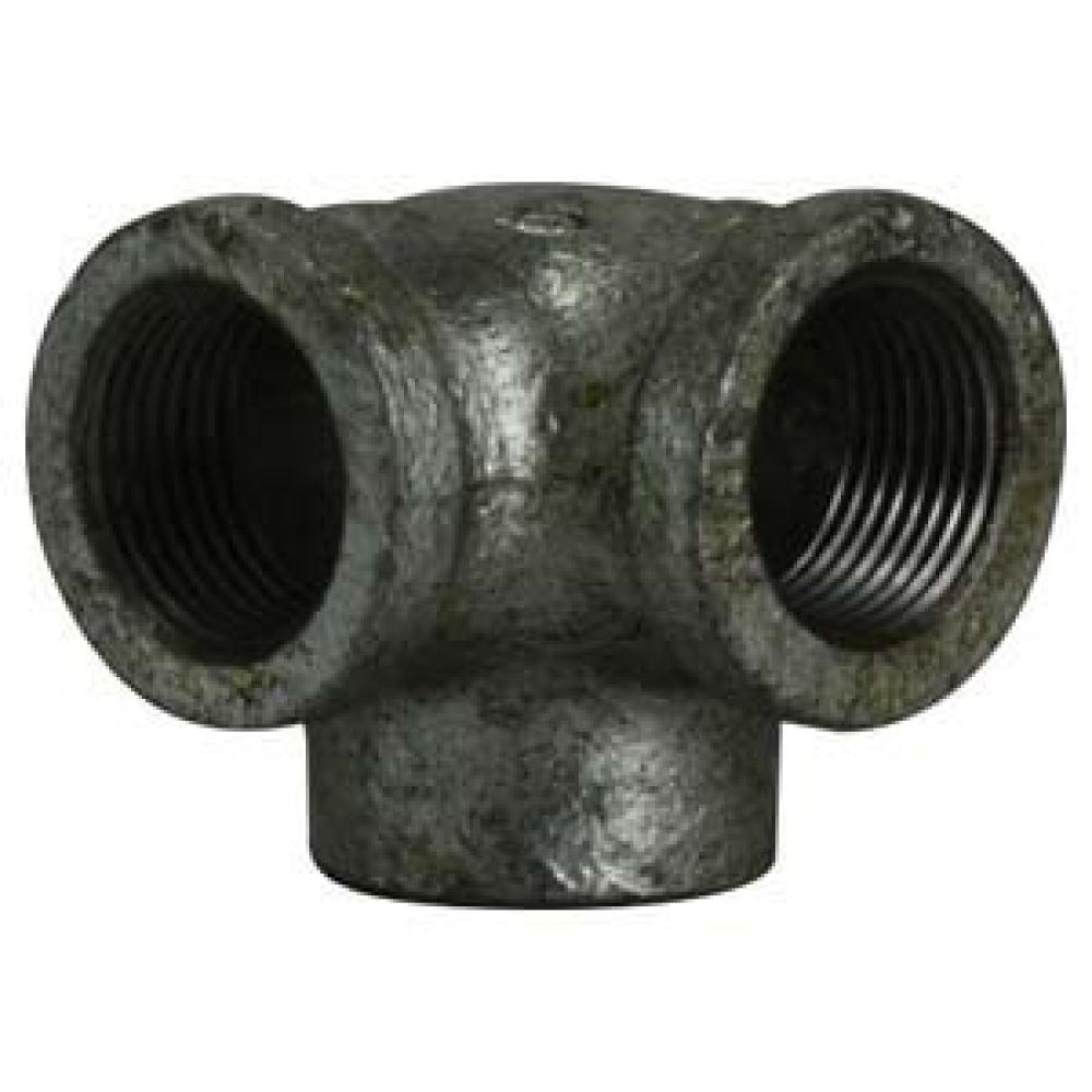 65582