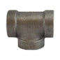 69254