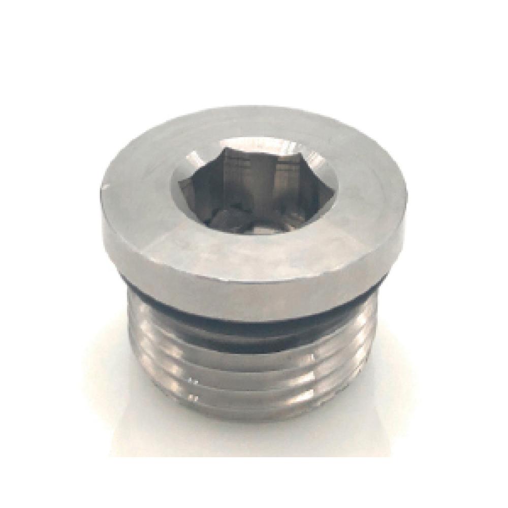 O-Ring Hollow Hex Plug