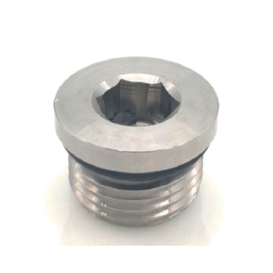 O-Ring Hollow Hex Plug